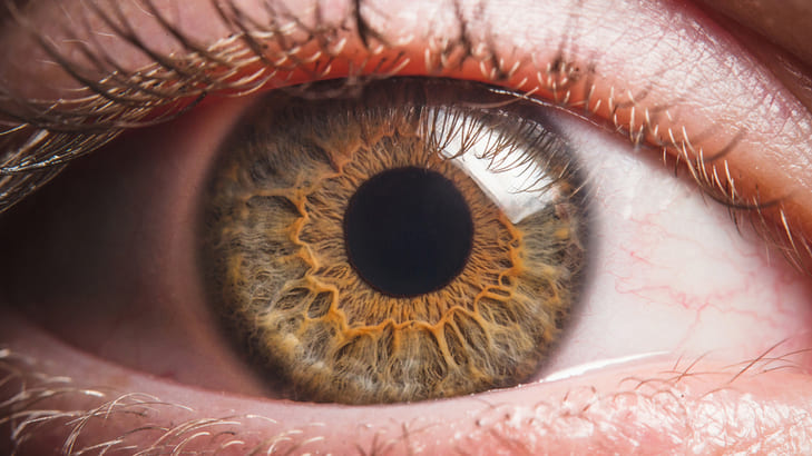 Augenfarbe - Augenarzt Bern